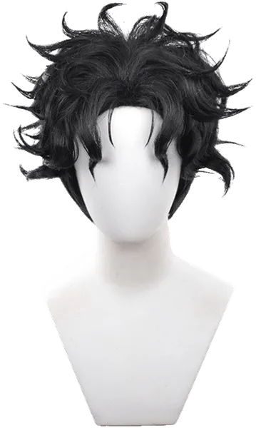 Ken Takakura Wig