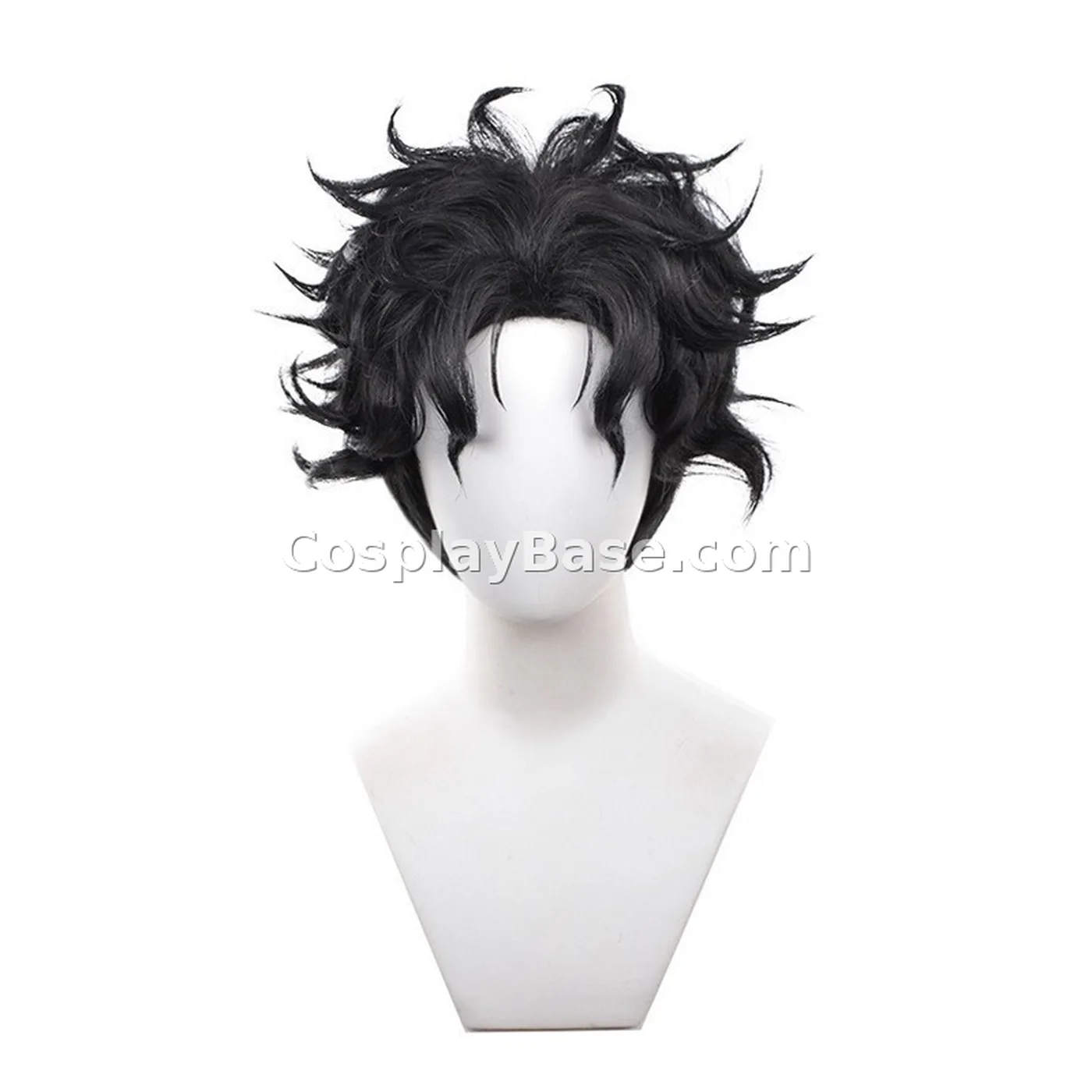 Ken Takakura Wig