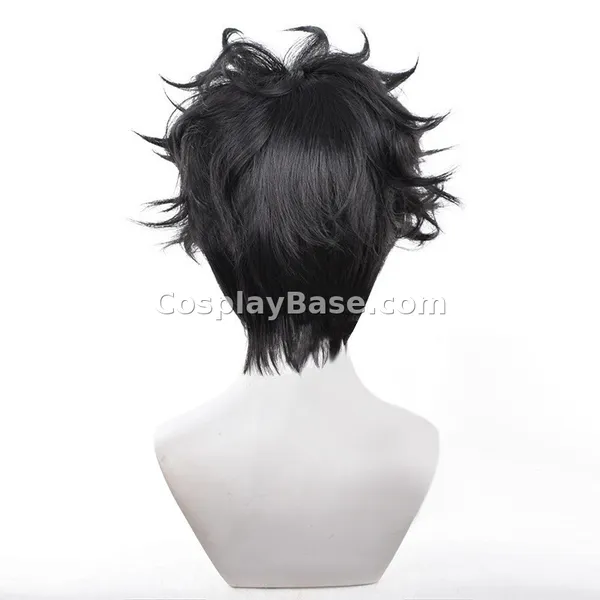 Ken Takakura Wig