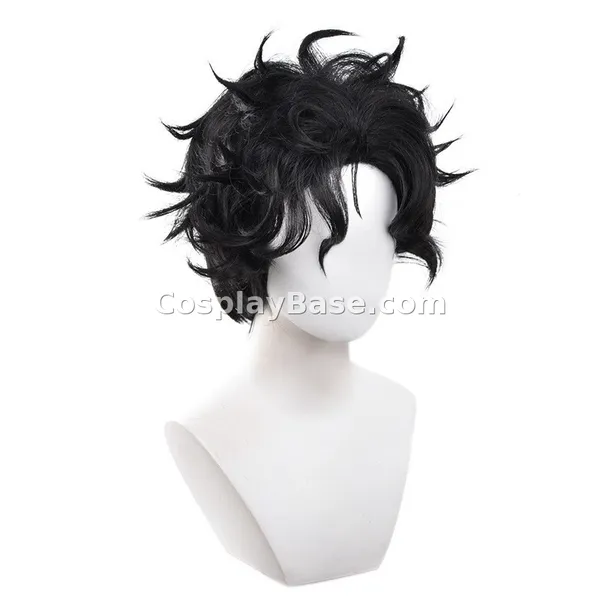 Ken Takakura Wig