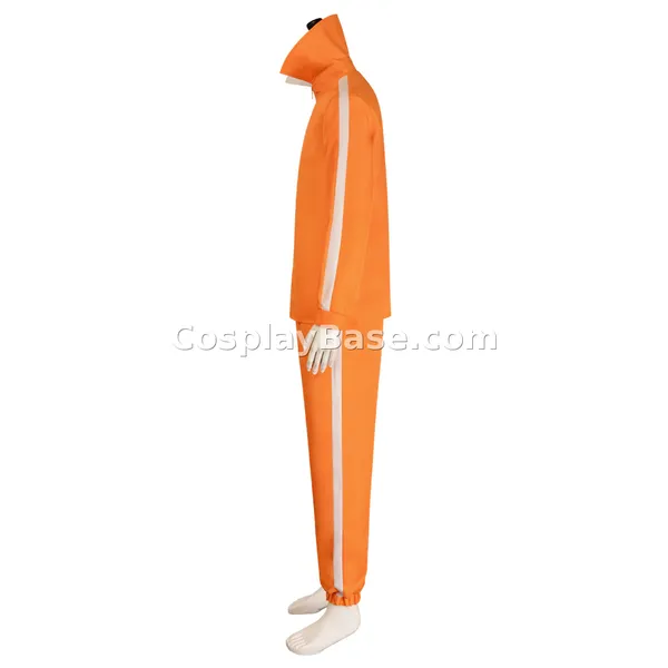 Vector Costume