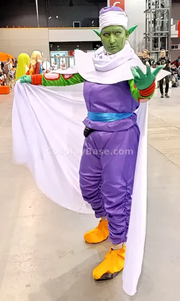Piccolo review photo
