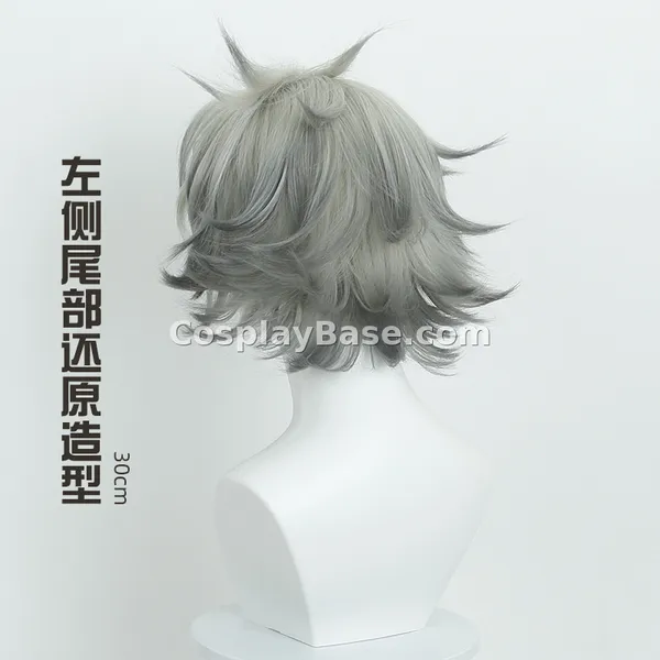Rudo Wig