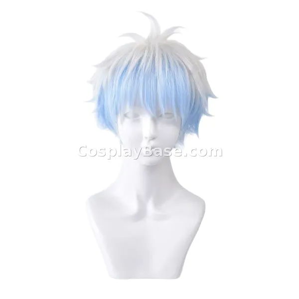 Sakata Gintoki Wig main picture