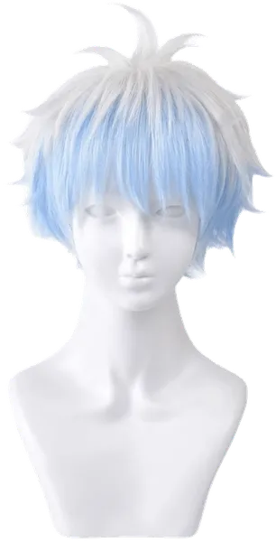 Sakata Gintoki Wig