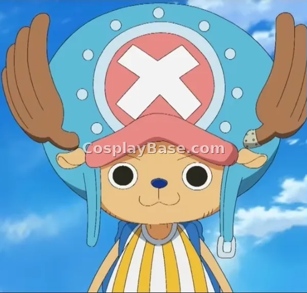 Chopper cosplay customer review photo 2