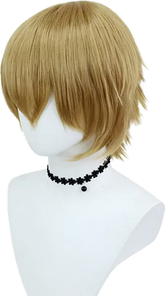 Aigis Wig
