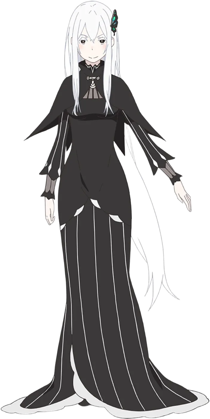 Echidna