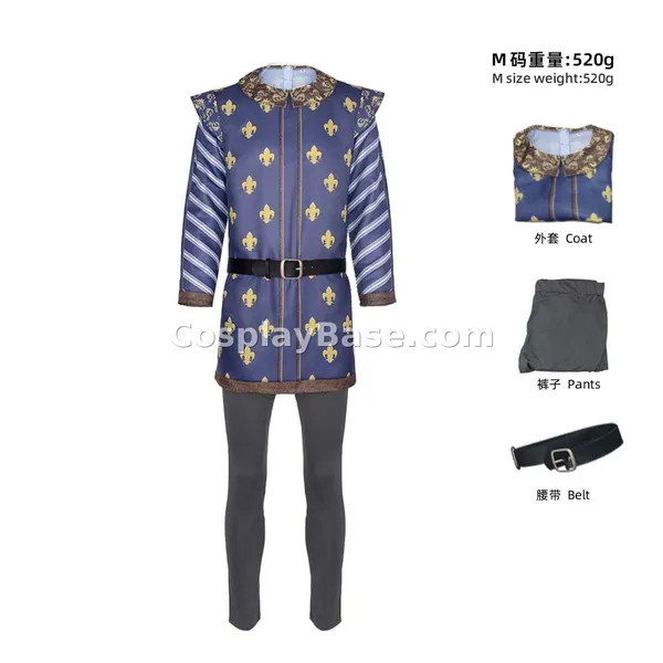 Prince Charming Costume