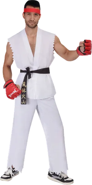 Ryu Costume