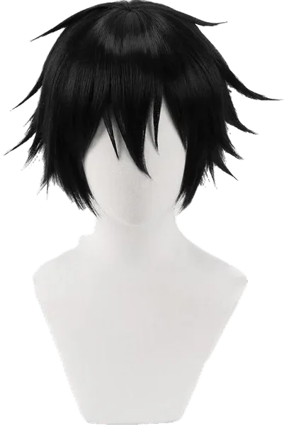 Kirigaya Kazuto Wig