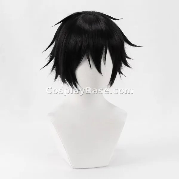 Kirigaya Kazuto Wig
