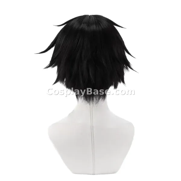 Kirigaya Kazuto Wig