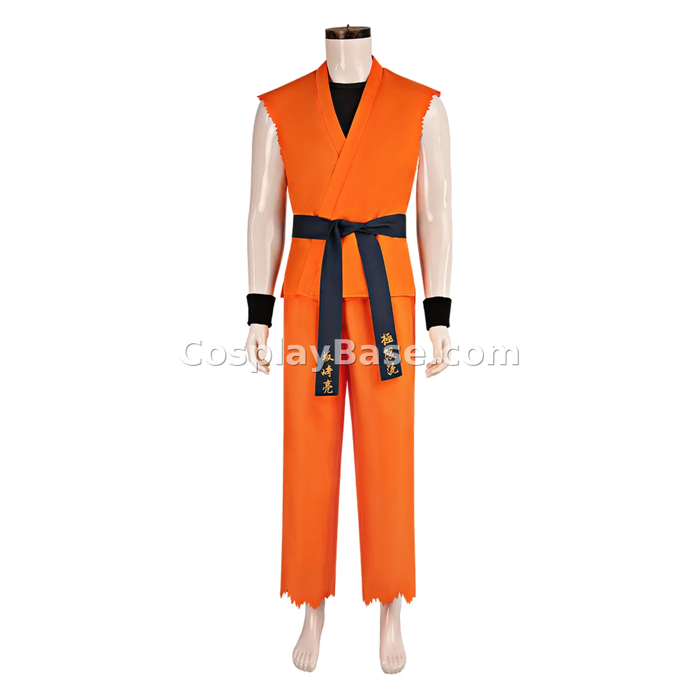 Ryo Sakazaki Costume