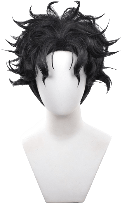 Ken Takakura Wig