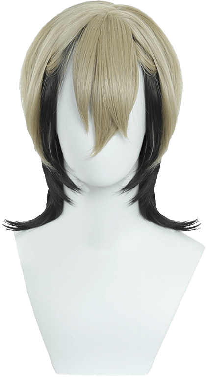 Zanka Nijiku Wig