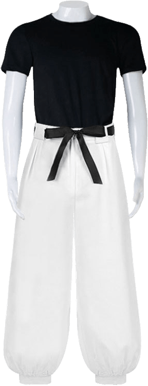 Toji Fushiguro Costume