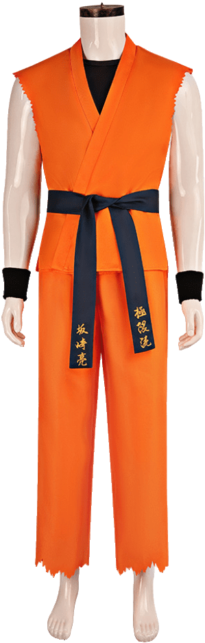 Ryo Sakazaki Costume