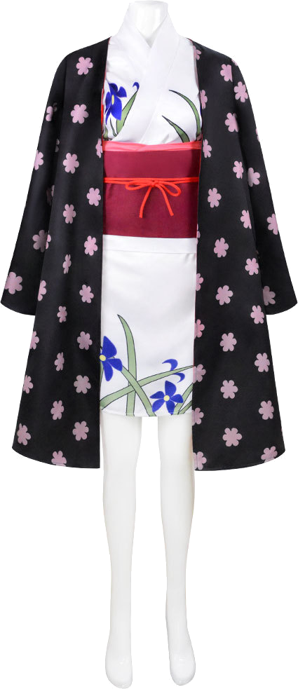 Nico Robin (Onigashima) Costume