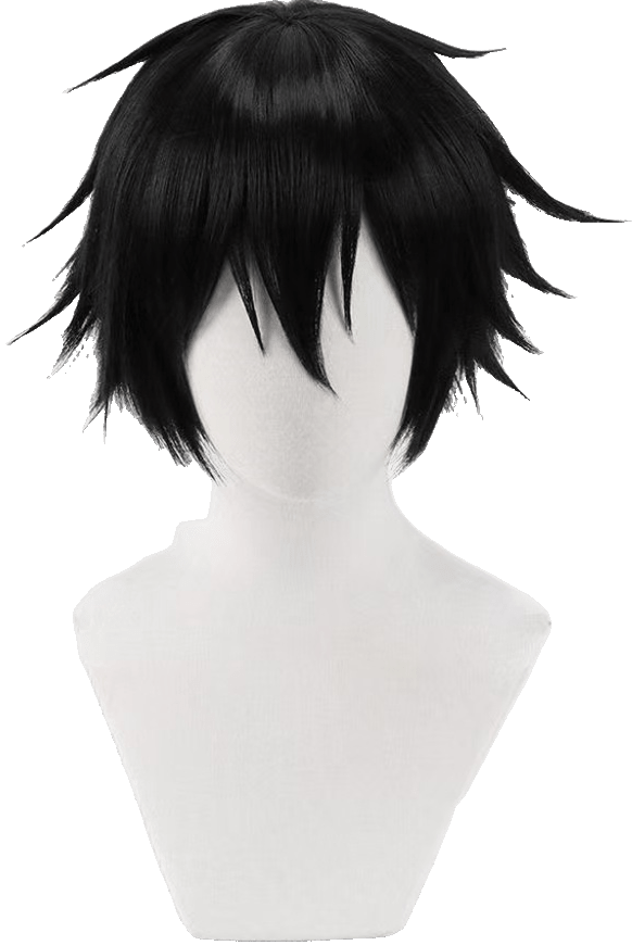 Kirigaya Kazuto Wig