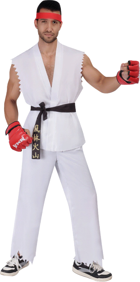 Ryu Costume