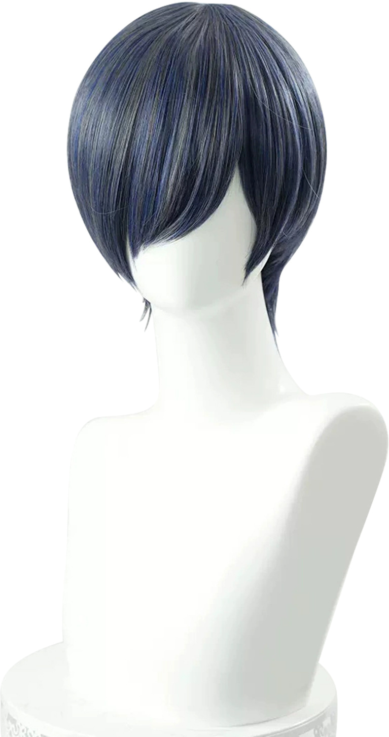 Ciel Wig
