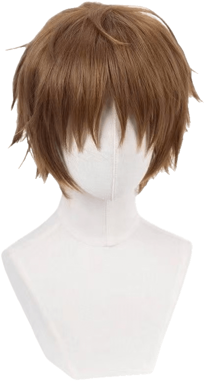Syaoran Li Wig