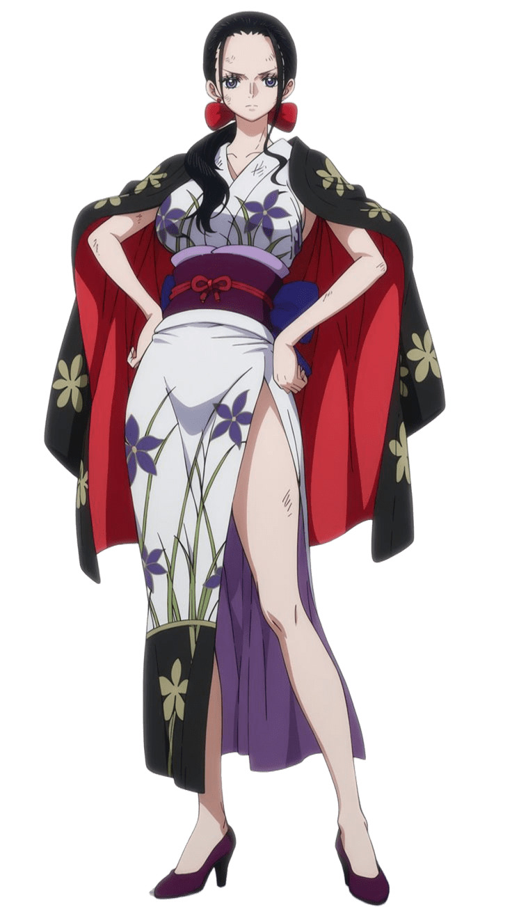 Nico Robin Onigashima