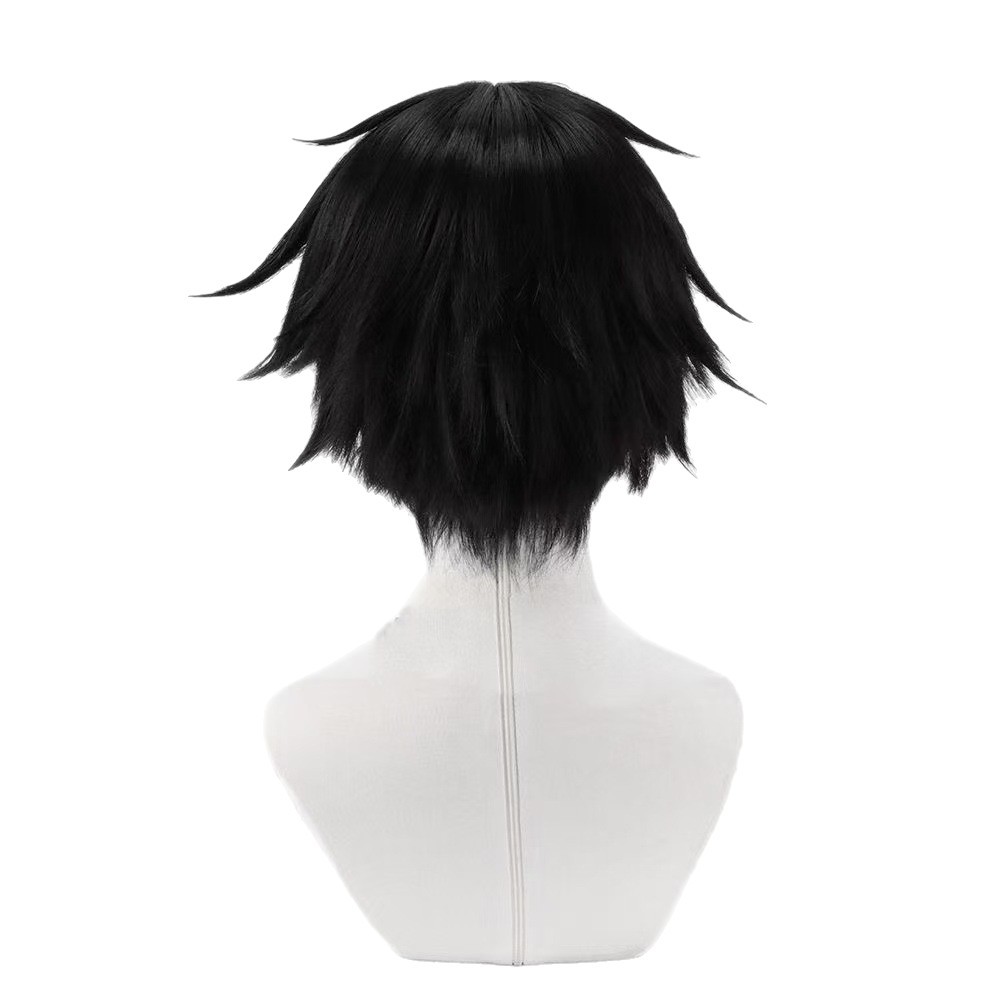 Kirigaya Kazuto Wig